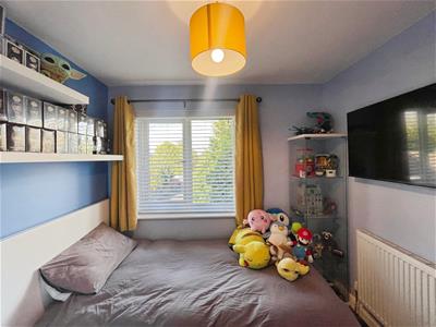 Picture 15